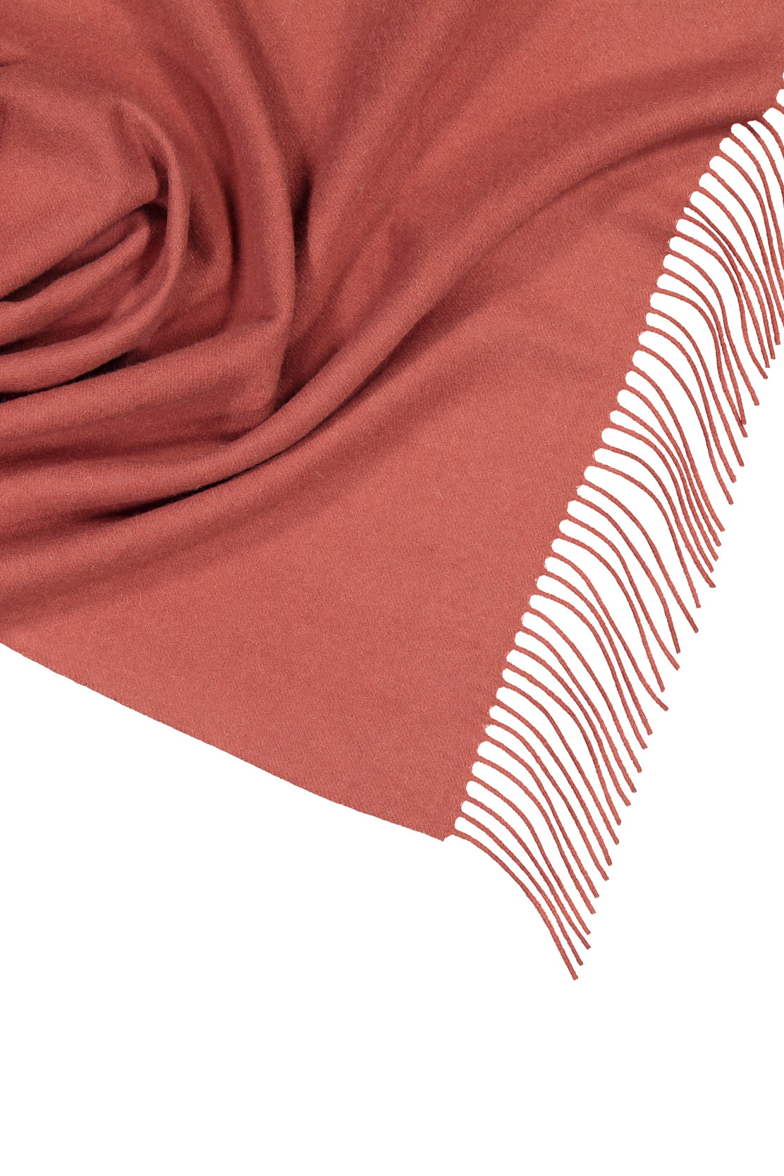 Ciara villaponcho marsala